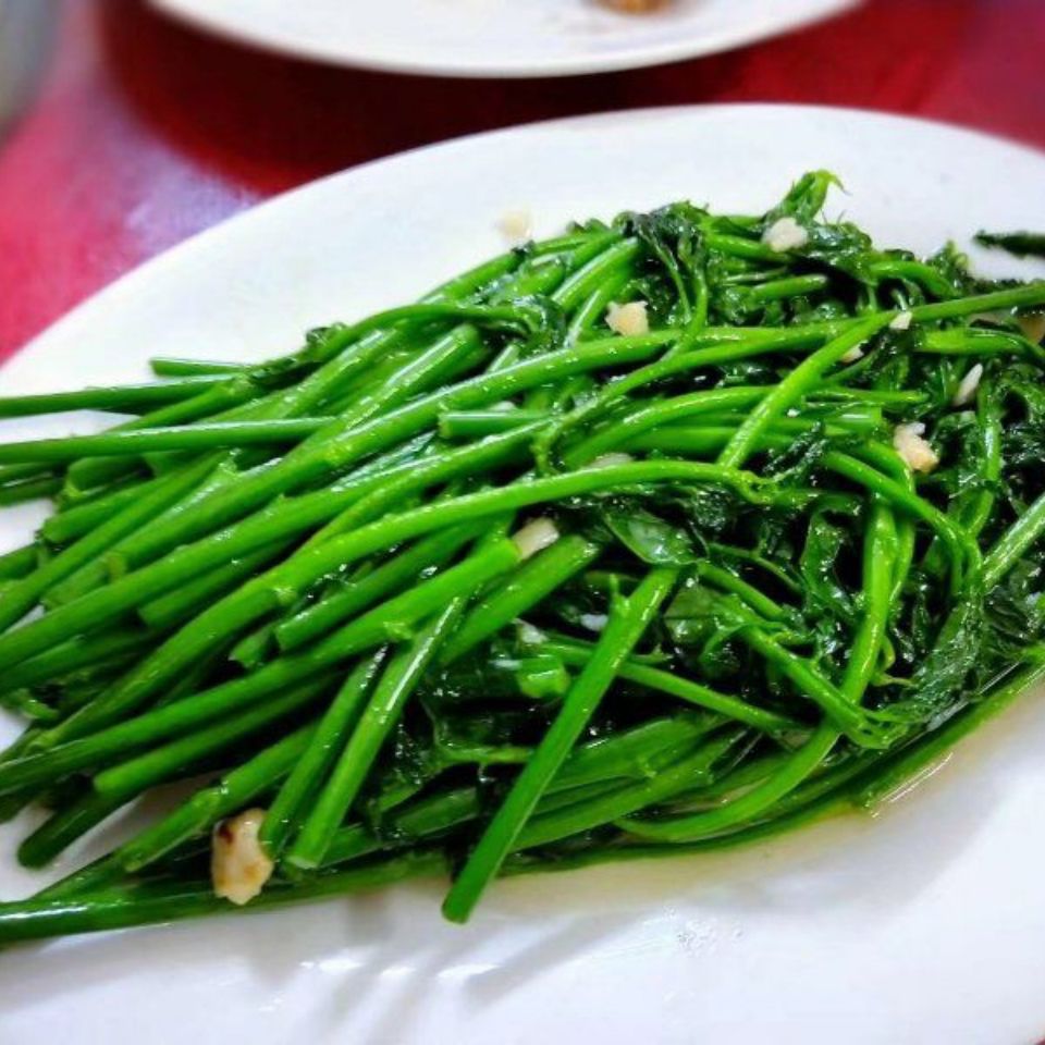 海南青菜种类图片图片