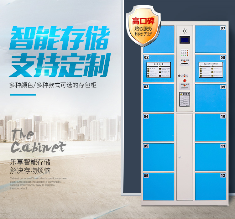 亿三威 超市电子存包柜商场储物柜手机寄存放柜条码储物柜人脸识别微信柜 12门自编码【升级版】