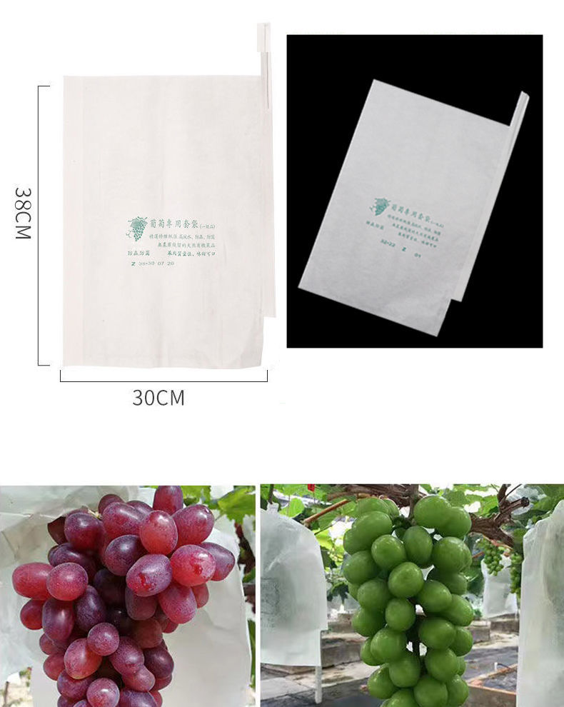 琛艺 葡萄袋套袋专用纸袋水果袋防雨水虫莲雾水果袋透气葡萄袋果蔬菜