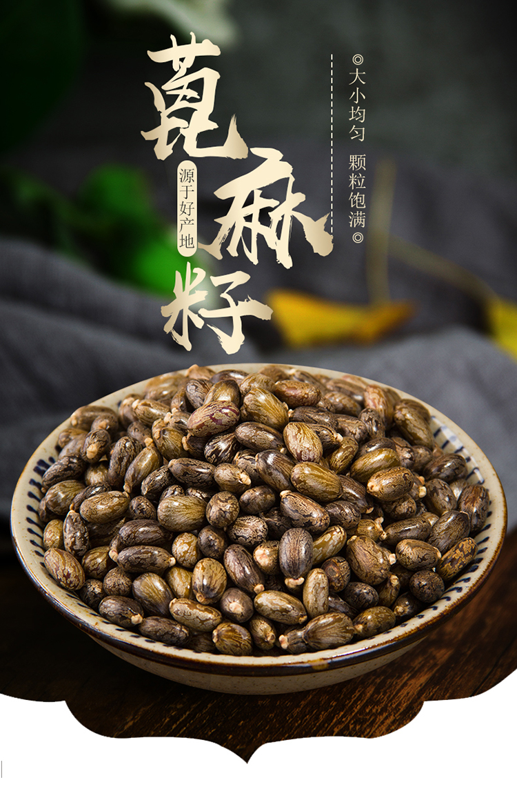 新货蓖麻子 蓖麻籽500克 红大麻子蓖麻仁蓖麻种子【图片 价格 品牌