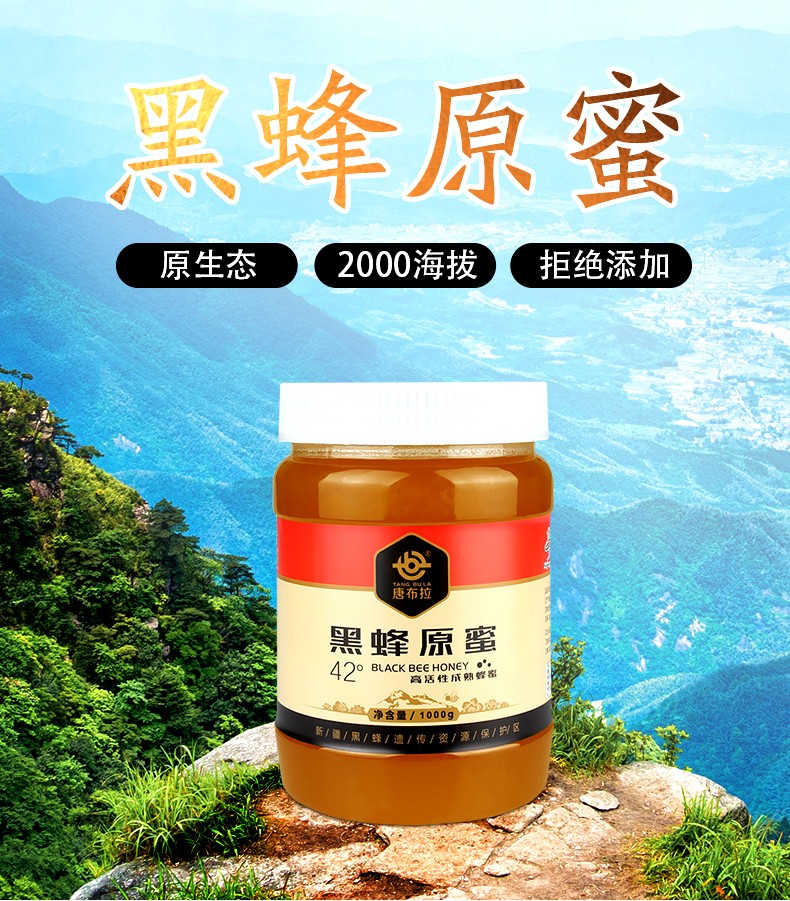 唐布拉黑蜂蜜 蜜新疆黑蜂蜜 1000g/罐 农家土蜂蜜 高活性成熟蜜高寒