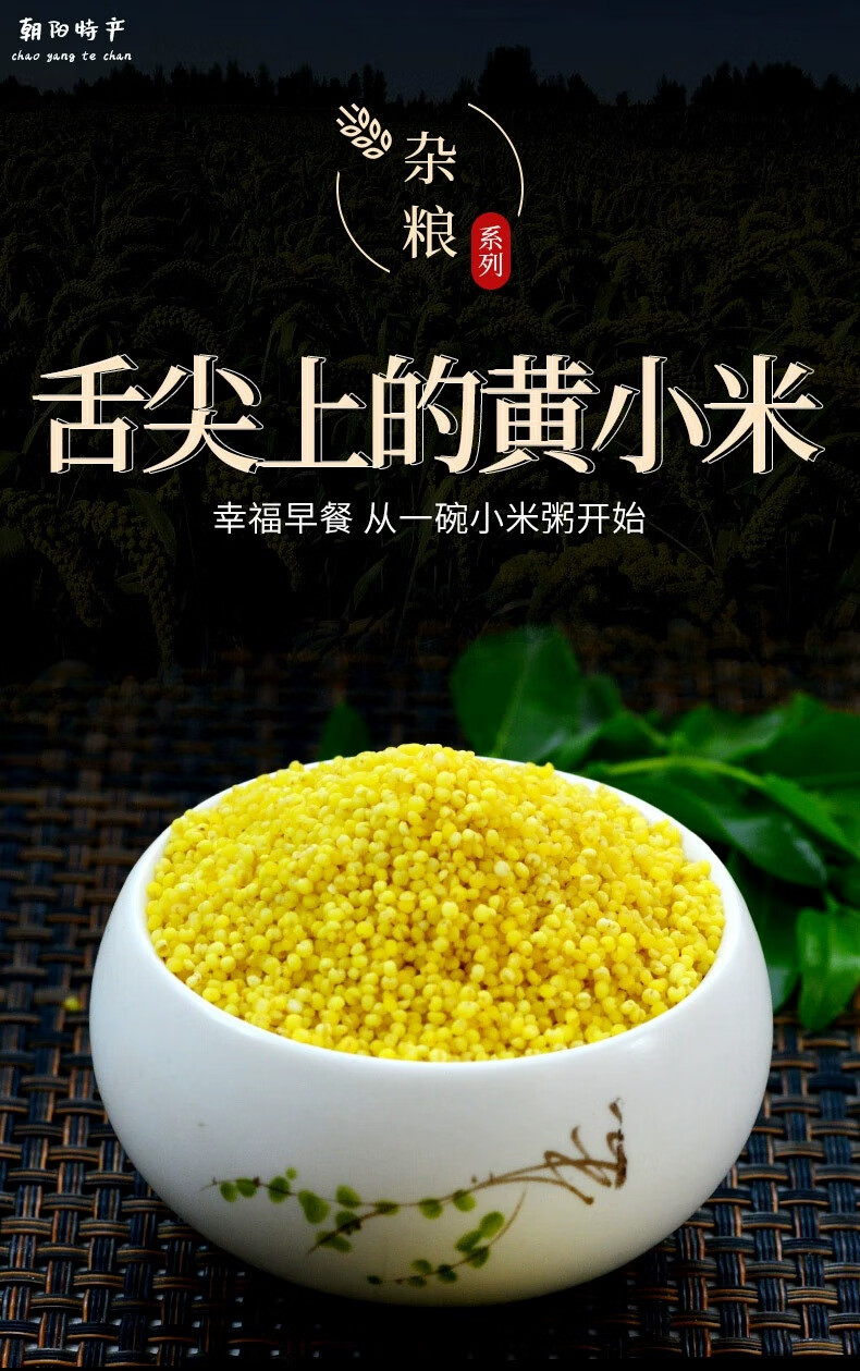 东北黄小米新米米五谷杂粮小黄米粒糯小米粥粟米粮食 粥粟米粮食