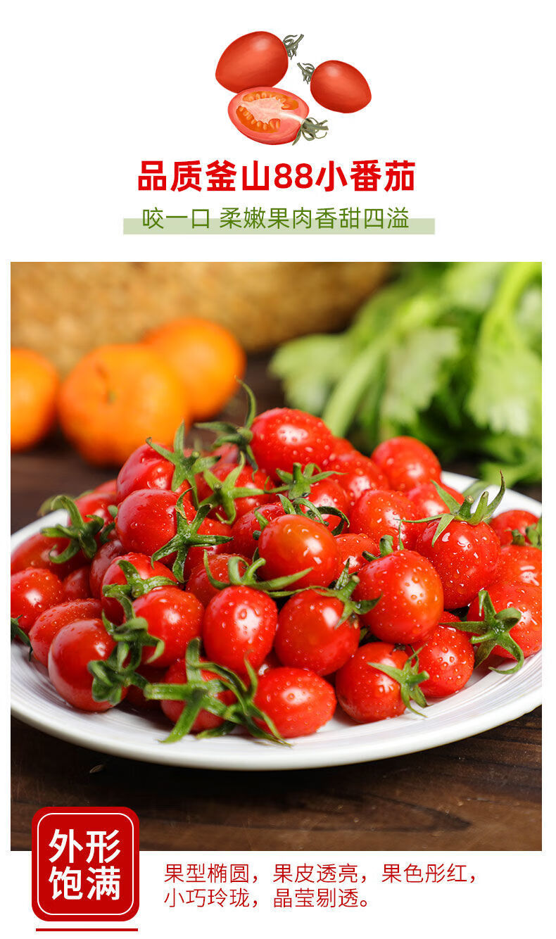 顺丰速运釜山88圣女果黄金圣女果现摘千禧小番茄新鲜孕妇水果黄金圣女