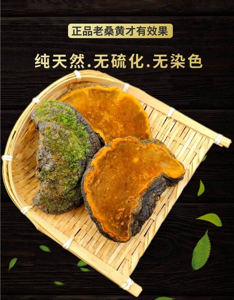 旗舰】桑黄正宗桑树特级东北桑黄茶 精选原 块500克【图片 价格 品牌