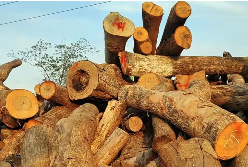 功能:可旋转坐面材质:实木坐面高度:≤20cm货号:gvkjjknjcnhd商品毛重