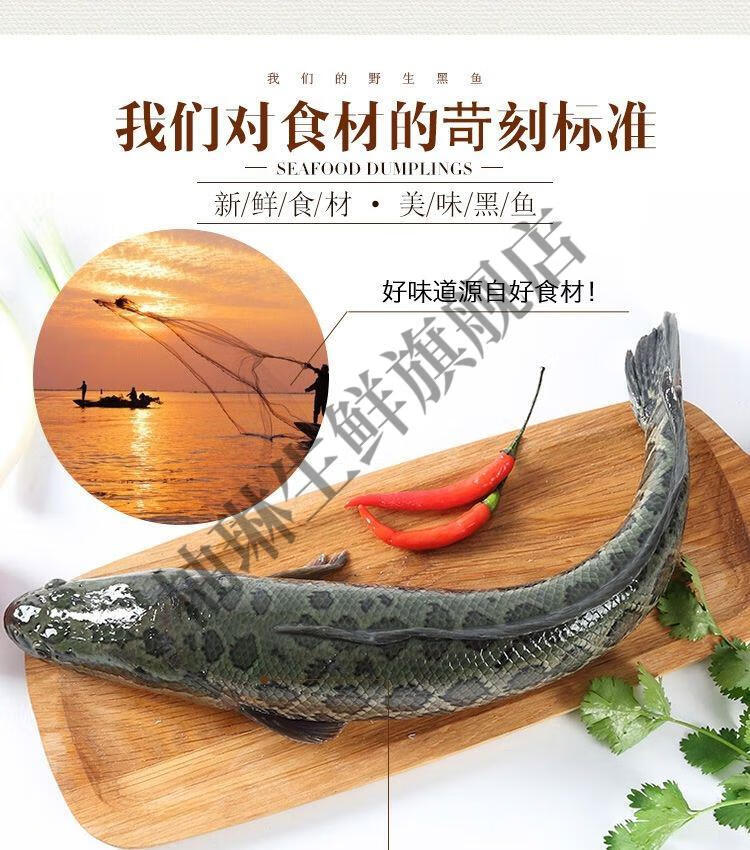 黑魚鮮活烏魚現殺活體淡水黑魚燉湯術後滋補2斤黑魚