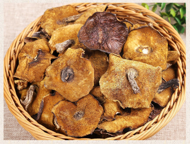 东北特产野生松蘑干货 新鲜松蘑菇松菇松蛾粘蛾子粘团子野生蘑菇 野生