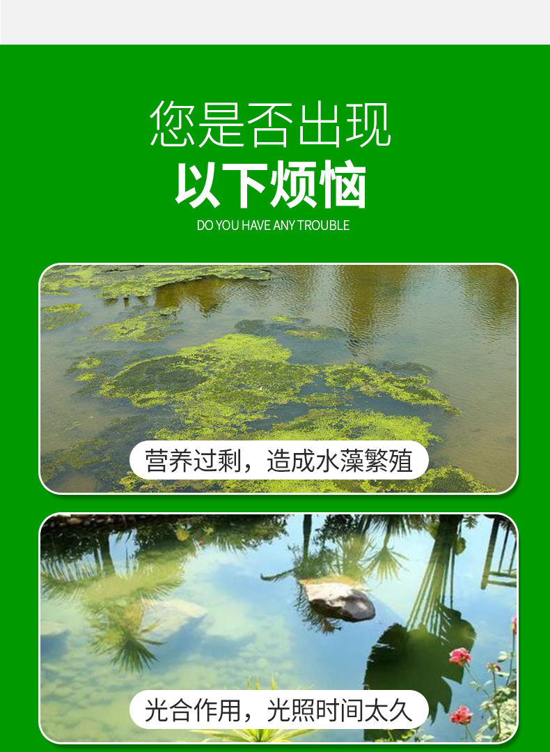 冰箱清洗剂除味抑菌青苔去除剂速治鱼池观赏水池蓝藻青苔净分解酶速杀