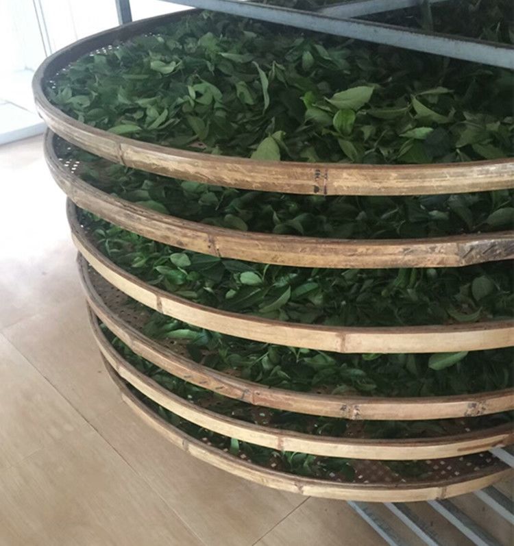 高州新垌茶叶 500g 绿茶 广东高州土特产春茶雨前茶叶铁观新垌绿茶叶