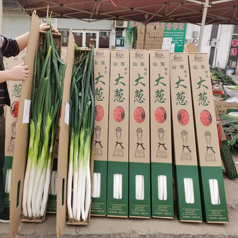 更多参数>>原产地:山东类别:葱品种:大葱货号:章丘大葱3