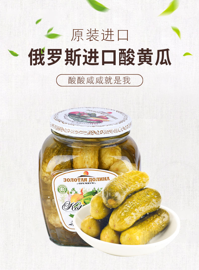 俄式酸黄瓜俄罗斯进口罐头原装酱小青瓜正西餐配菜即食小菜500g500克1
