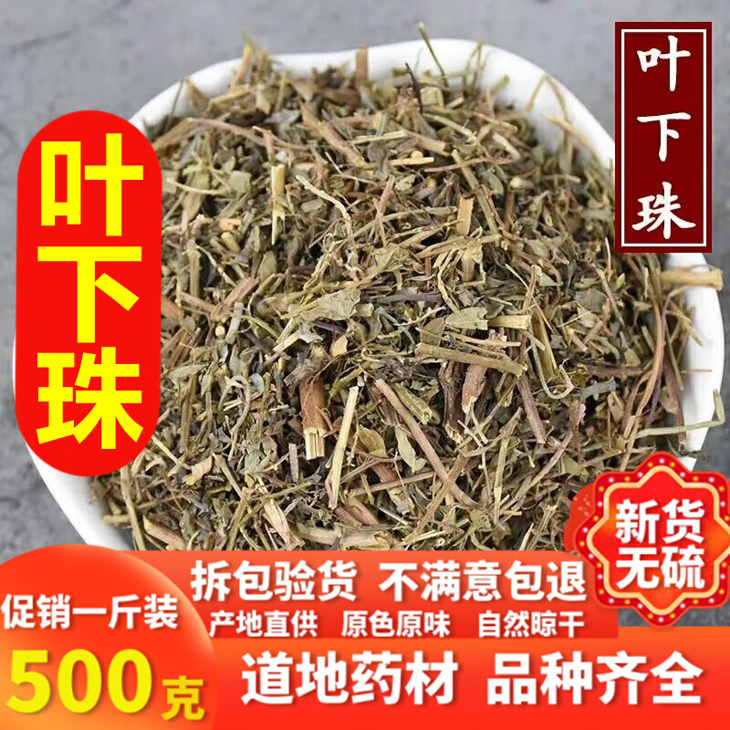 北·京同仁·堂叶下珠 野生珍珠草中药材叶下珠茶 珠仔草中草药店铺