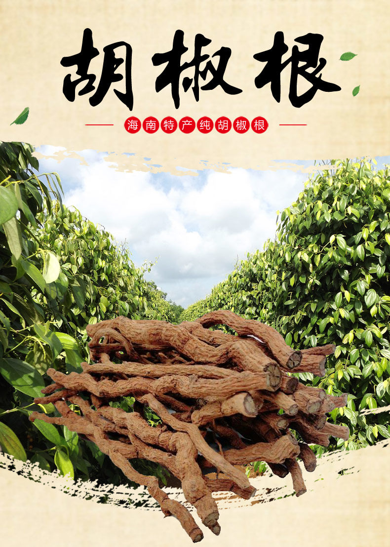 康中尊正宗海南胡椒根250g原生态野生煲汤炖汤料泡酒药材胡椒根纯根1