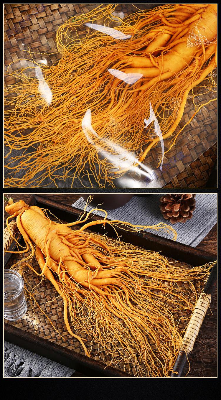 老参王特大保鲜参长白山足龄十年大参老吉林东北特产单支毛重约500g老