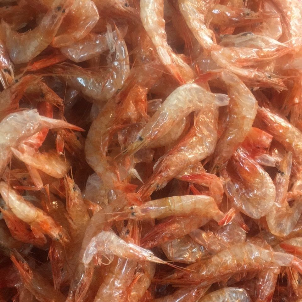 大虾皮大淡皮虾米樱花虾干日式料理食材樱花虾炒饭蒸蛋250克 大号500