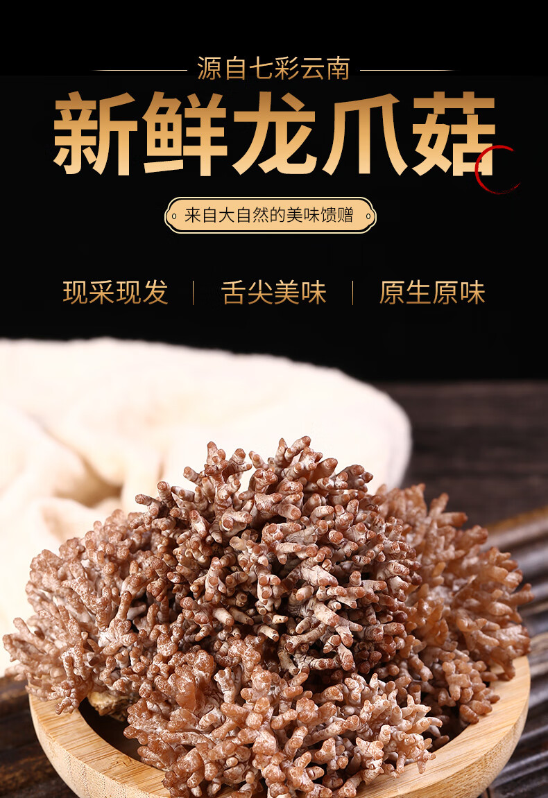 青樱红荔 【顺丰冷链直达】新鲜龙爪菇 当季山珍菌类蘑菇煲汤火锅