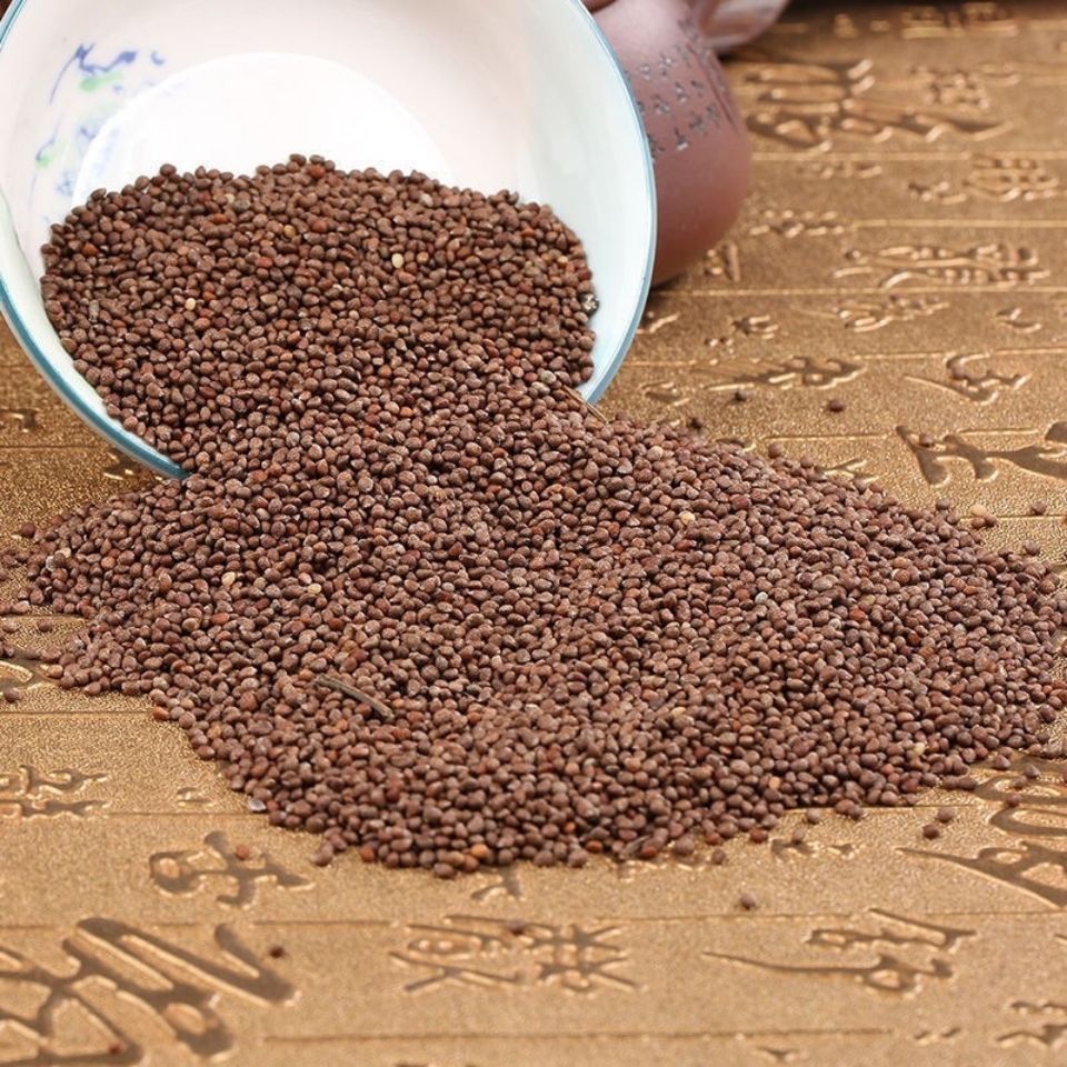 紫苏子食用批发苏子粒熟紫苏在粉新货无硫中材小苏子生紫苏子 精品