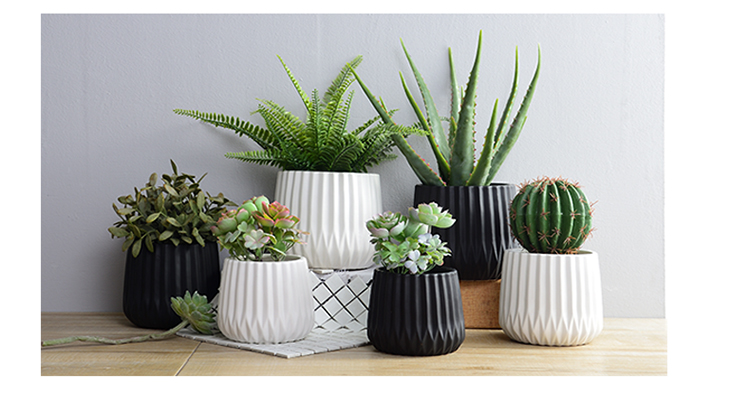 陶瓷花盆简约北欧风格堆圆几何形状哑光黑白颜色百搭琴叶榕绿萝哑光黑