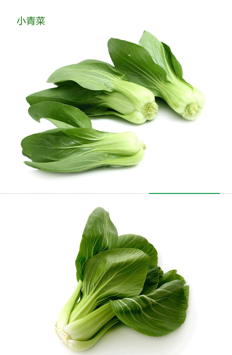 新鲜小青菜 上海青农家蔬菜上海青青菜油菜新鲜蔬菜绿叶菜 新鲜礼 5斤