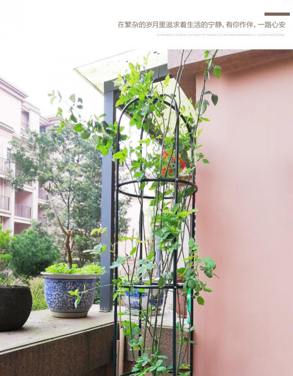 铁艺花架爬藤架月季花铁线莲户外柱形欧式花架盆载花支撑架室内 墨