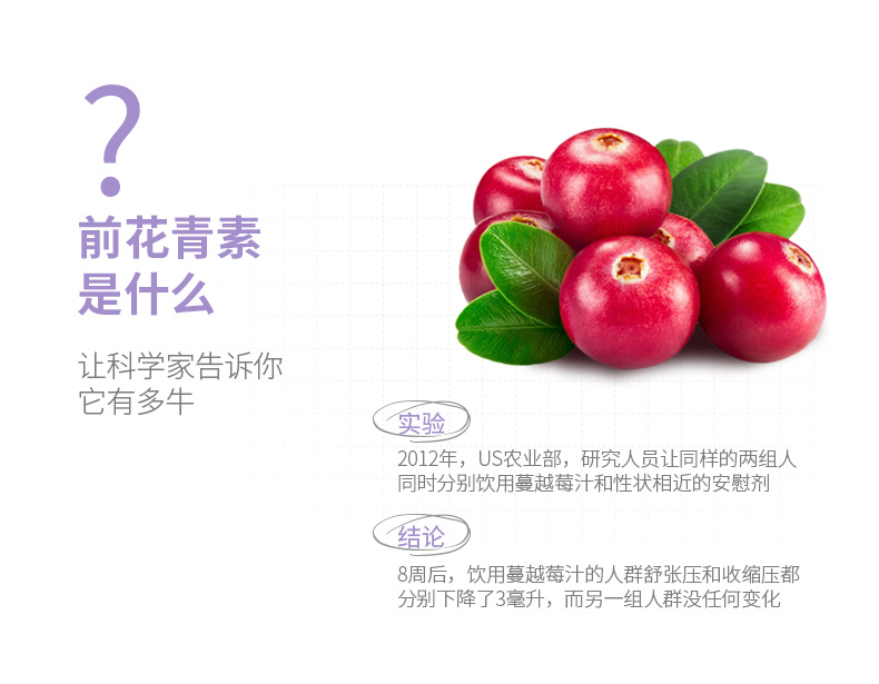 果园老农蔓越莓干100g零食果干蜜饯果脯休闲零食