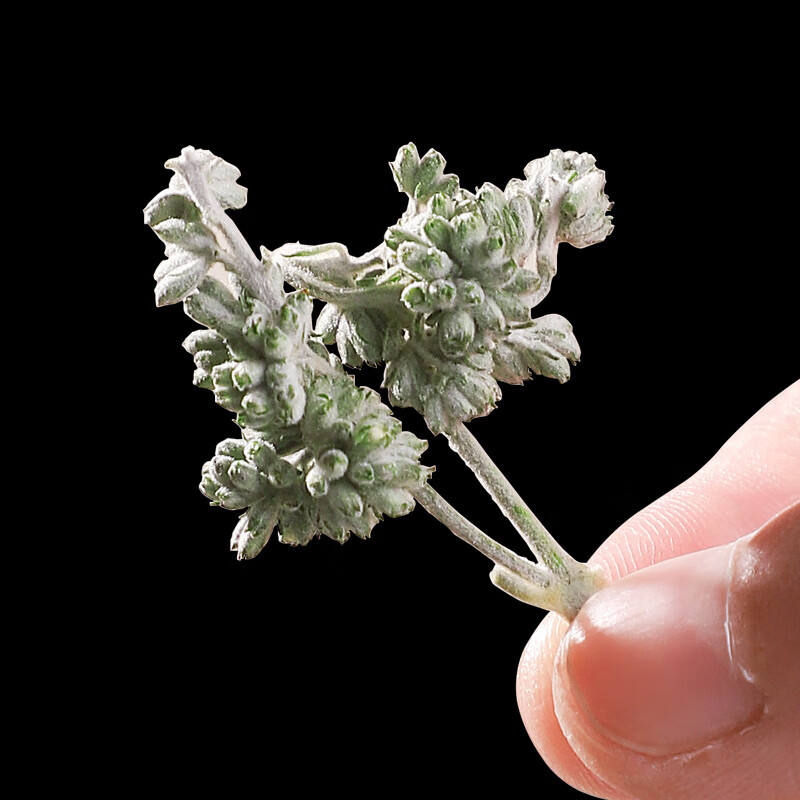 北京同仁堂密蒙花中药500g新鲜蜜蒙花干货散装中药材密蒙花茶 【1罐】