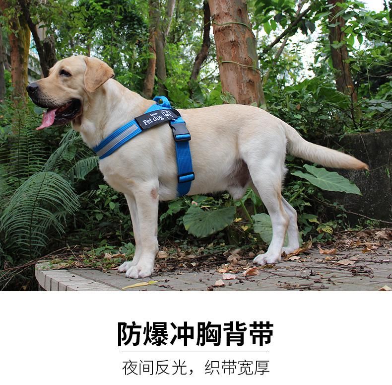 舒适透气】大狗狗牵引绳防冲爆宠物胸背带狗狗背心牵引绳脖圈狗绳狗链