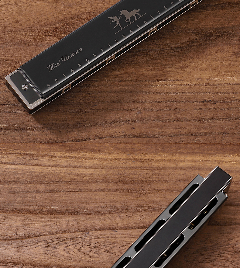 上海国光口琴24孔复音c调初学者儿童学生成人入门演奏级黑色c调重音