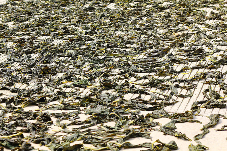 干芝麻叶农家晒制干菜野菜芝麻油叶子新货河南特产芝麻叶面条干菜250g