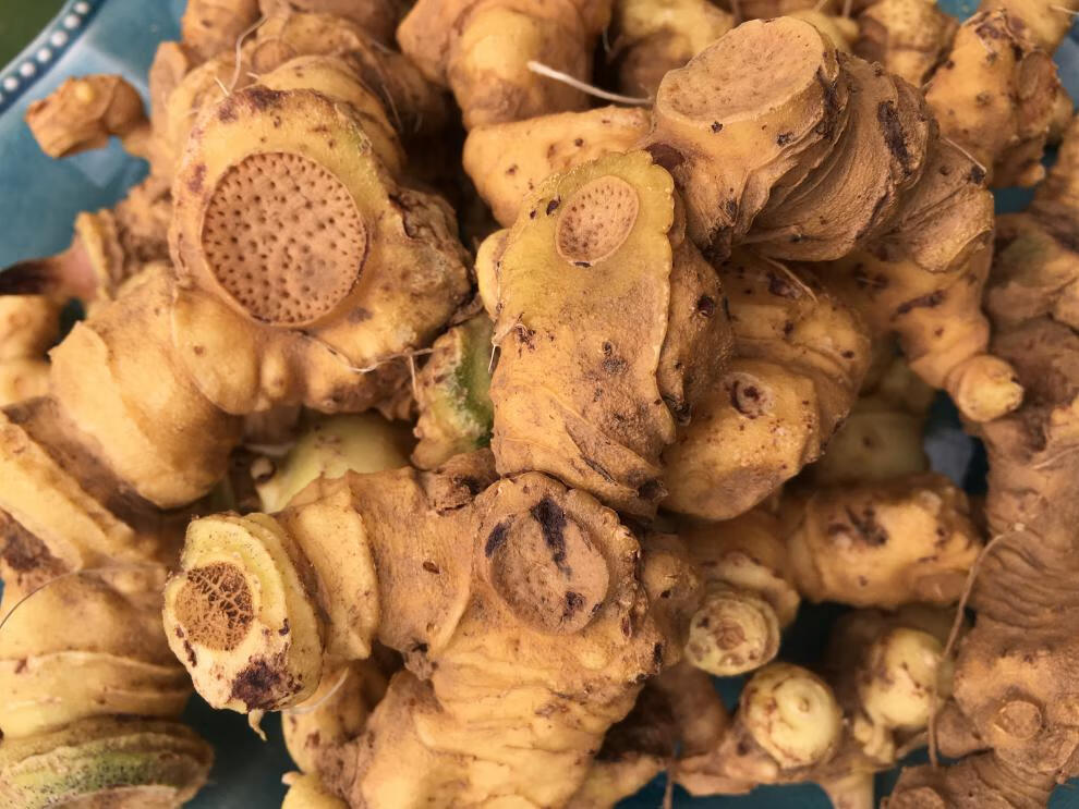 康中尊 鲜黄精生新鲜500g特级九华山肉头鸡头食用泡水泡酒