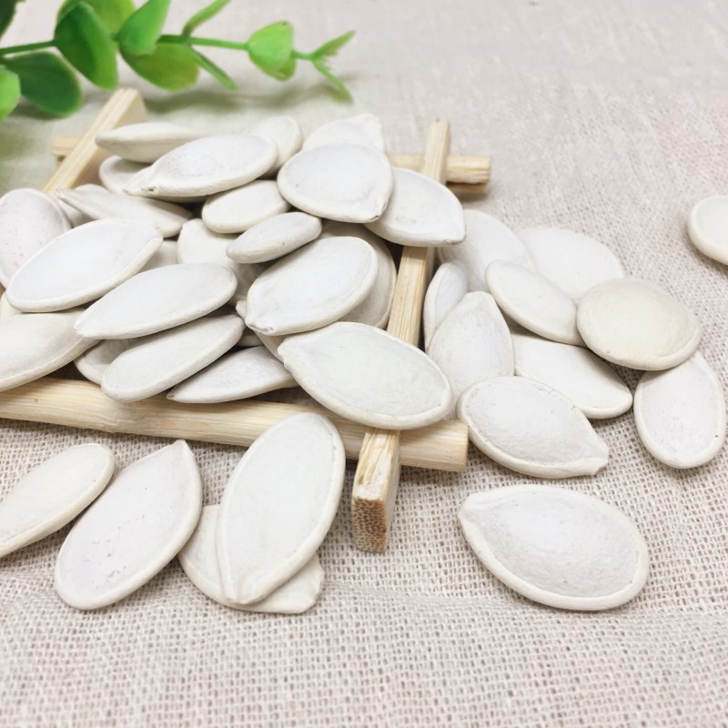 新货南瓜子大粒白南瓜籽500g炒货散装干果休闲零食咸味白瓜子 白南瓜