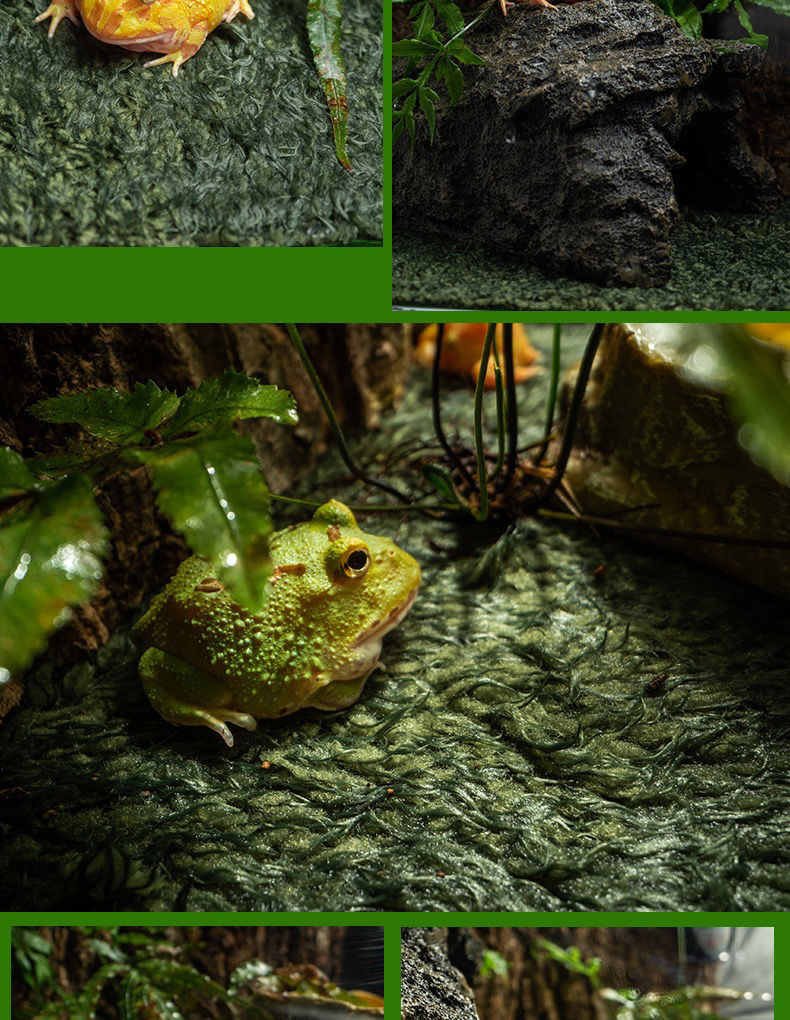 角蛙垫材爬宠垫材角蛙用品造景陆龟宠物雨林缸保湿角蛙泥 30*20人工