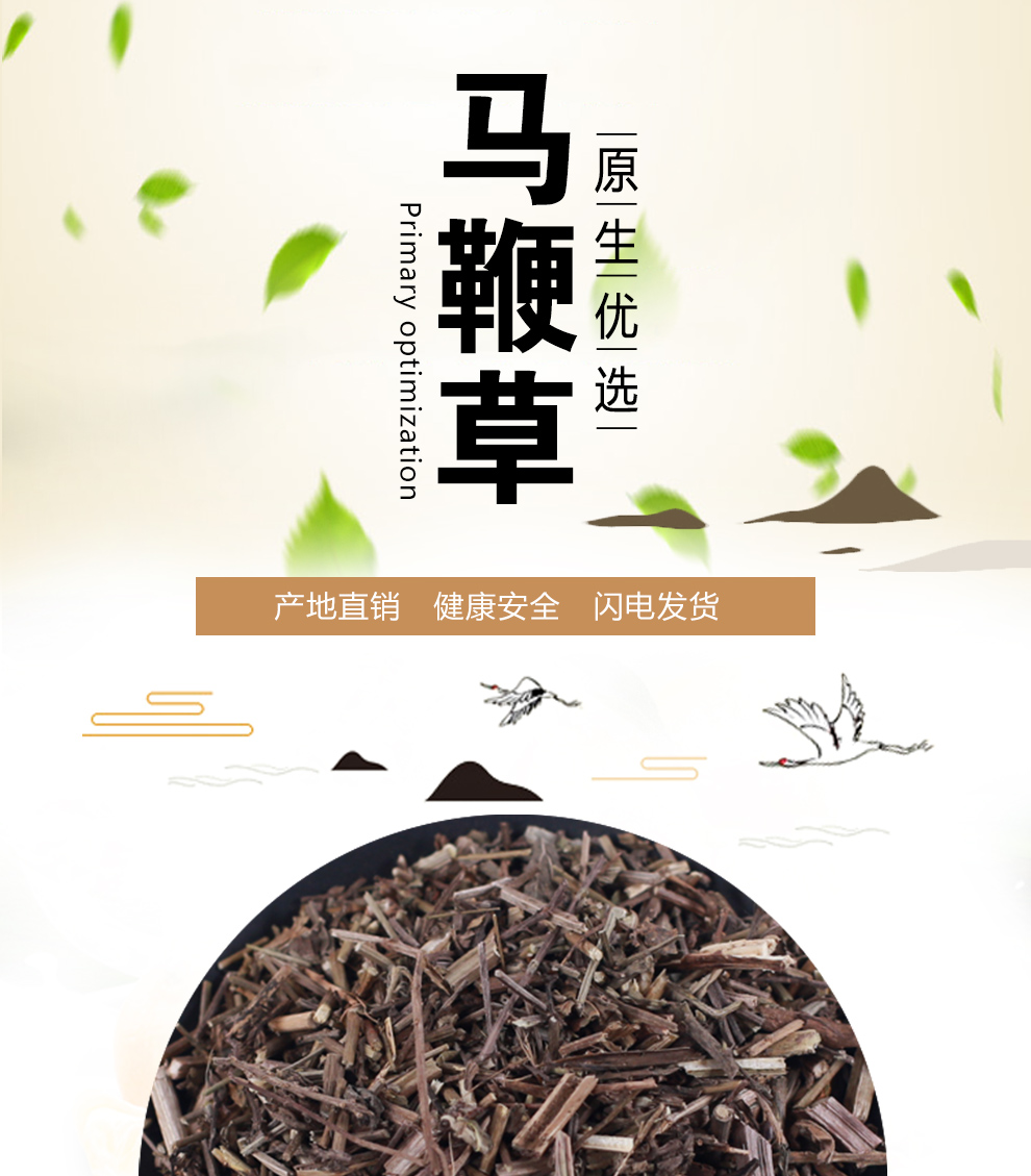 北京同仁堂马鞭草中药材铁马鞭马边草新鲜野生散装干货500g马鞭梢中