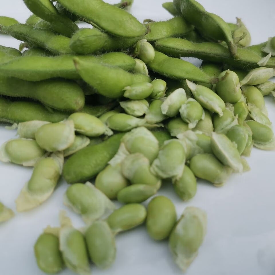 四川新鲜毛豆农家蔬菜现摘新鲜毛豆荚带壳青豆绿豆荚大豆毛豆3斤装