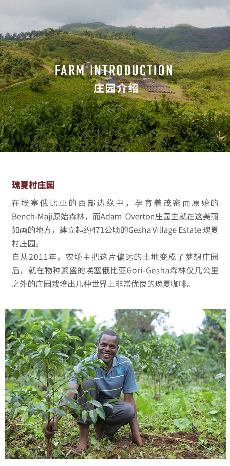 夏艺伎女神手冲浅烘焙咖啡豆纯正瑰夏村庄园日晒可磨粉100g100g轻度