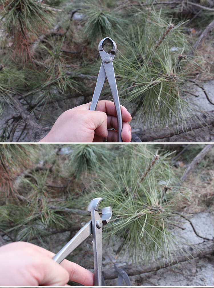 普通款球节钳斜口剪破杆钳修枝剪刀盆景造型入门工具新手普通款210mm