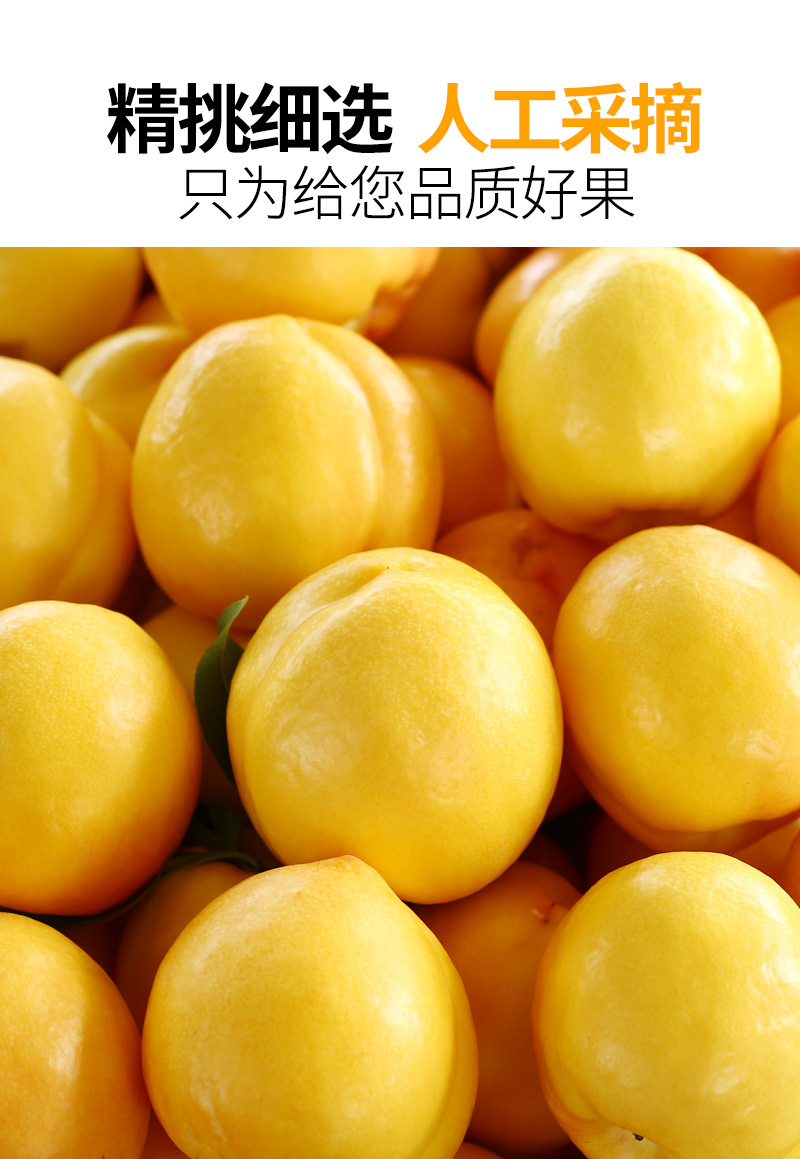甜黄心桃新鲜水果整箱当季孕妇应季桃子 5斤 中果【单果300g 】【图片