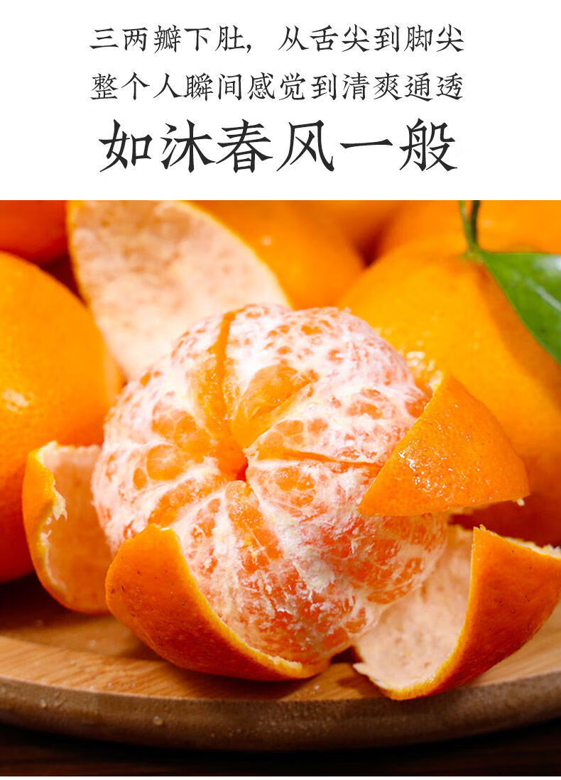春见属于橘子类水果吗(春见是丑橘还是粑粑干)