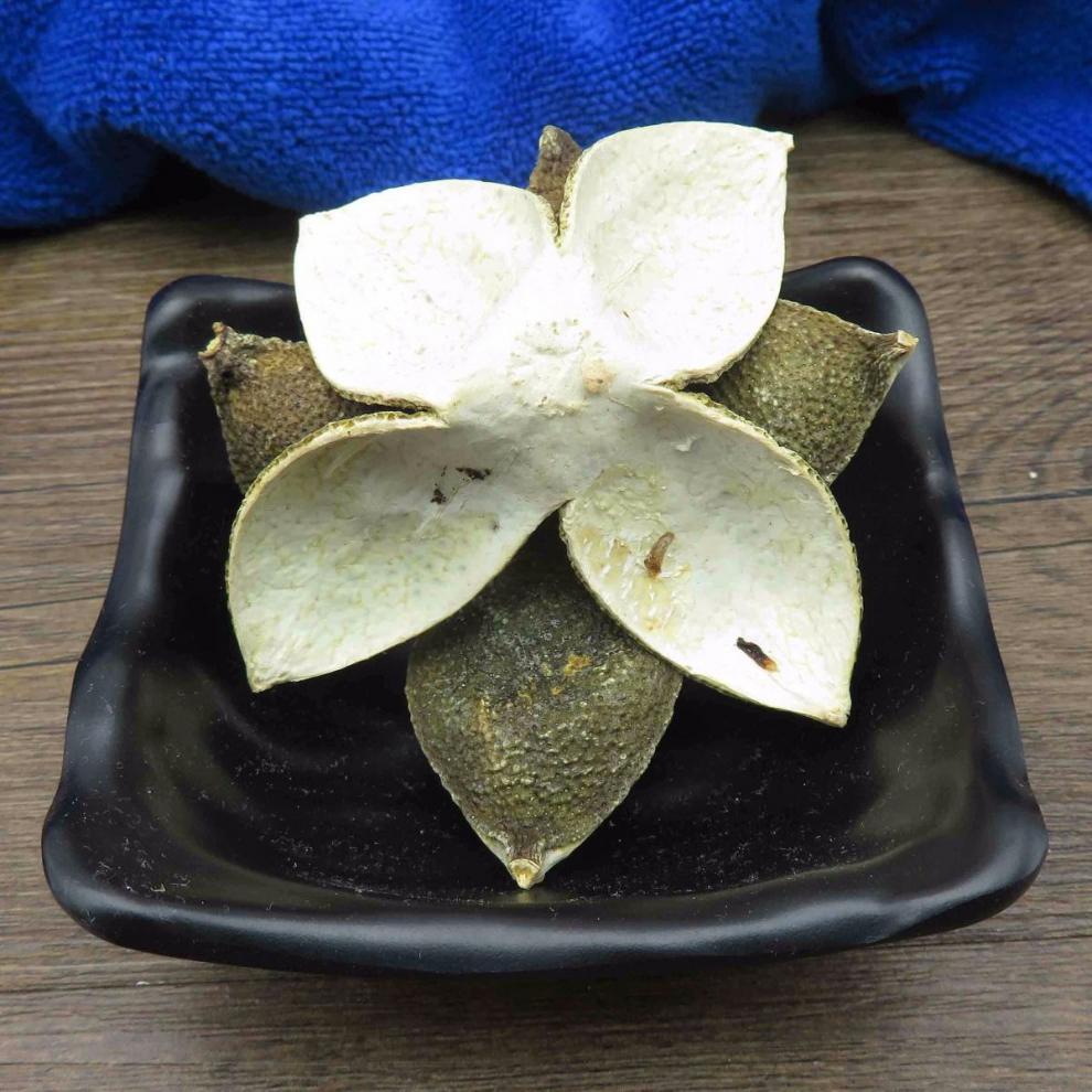 北京同仁堂 四花青皮 药材 青皮子小青皮四青皮青橘皮青柑皮 内廷上用