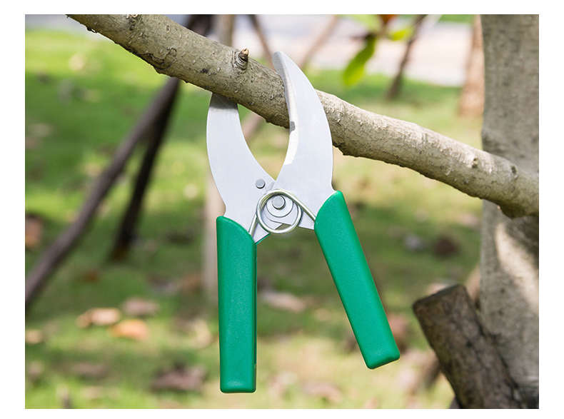 树剪彩色胶柄环割修剪树木剪刀葡萄环剥剪扒树皮刀环枝剪环割剪刀 6f