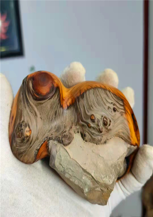 一北太行崖柏手把件瘤花把件陈化虎皮纹随形手把件毛料练手小料藕色a