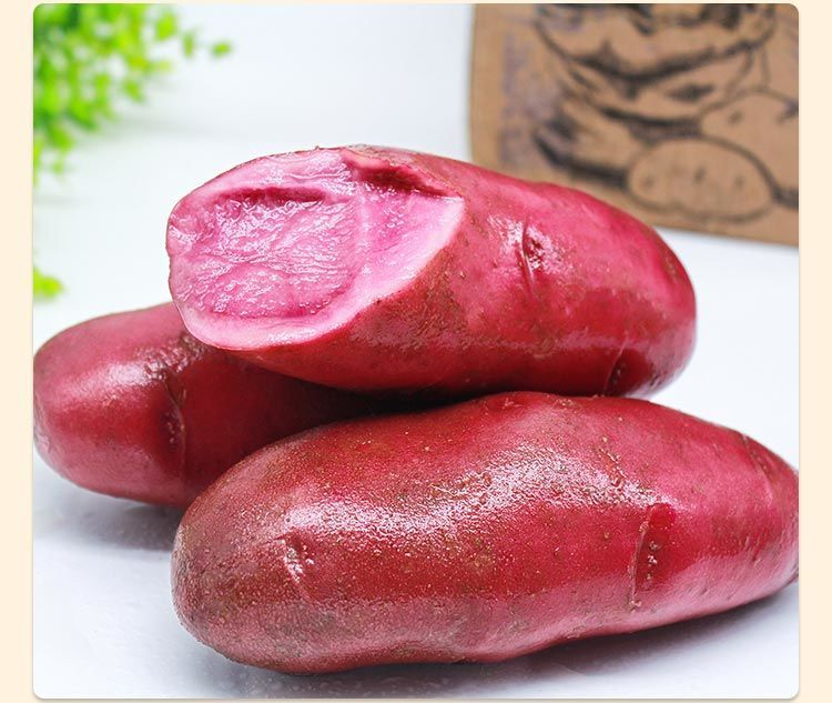当季新鲜红皮红心土豆红心土豆马铃薯红玫瑰大土豆彩色土豆农家食三舍