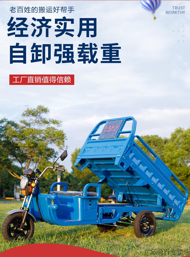 车家用大型农用三轮电瓶车拉货三轮电动车大功率载重王 ( 1500w电机
