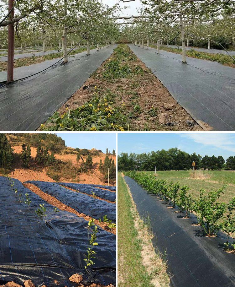 除草布果園農用耐用地布地釘地膜園藝抗老化透氣抑草布耐腐蝕11cm地丁