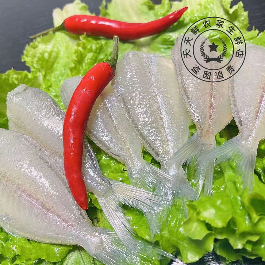 扒皮鱼新鲜小耗儿鱼冷冻马面鱼白尾剥皮鱼批发1包2斤