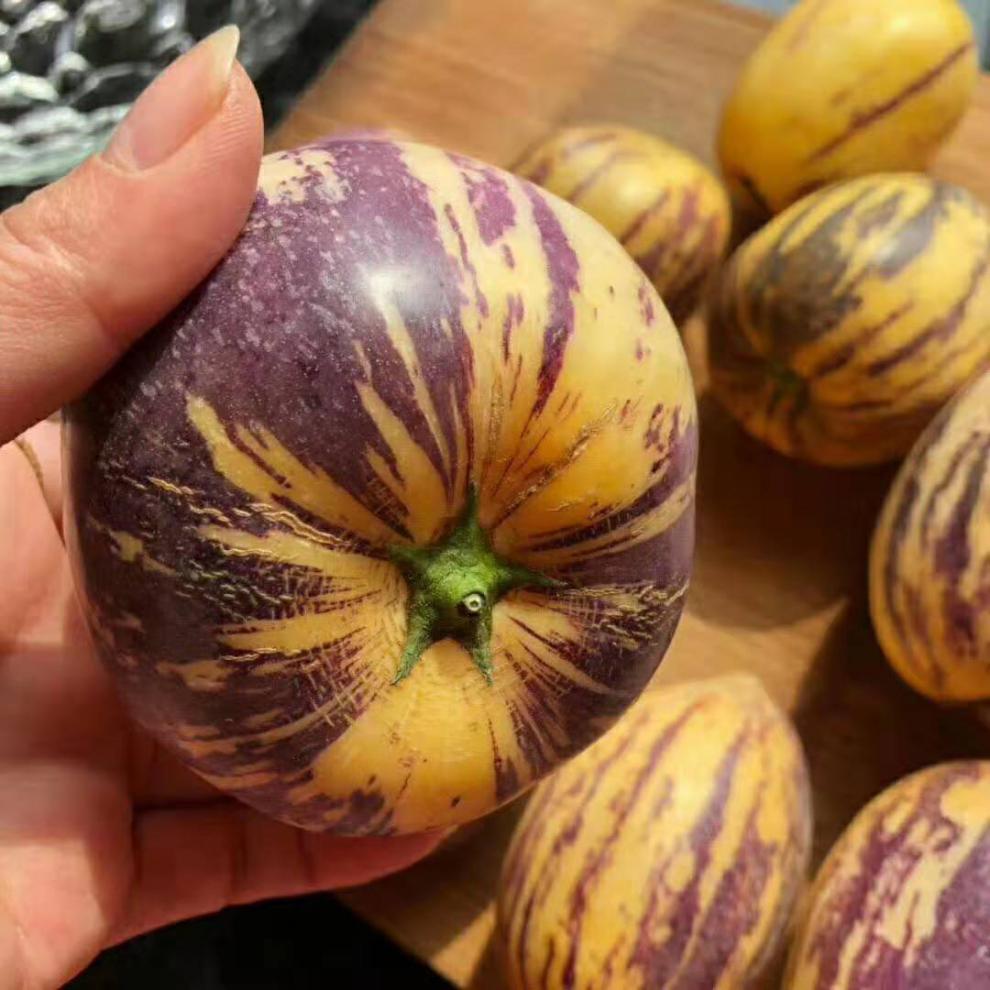 甘肃民勤人参果5/10斤水果 新鲜孕妇当季水果 圆果人生果整箱 5斤