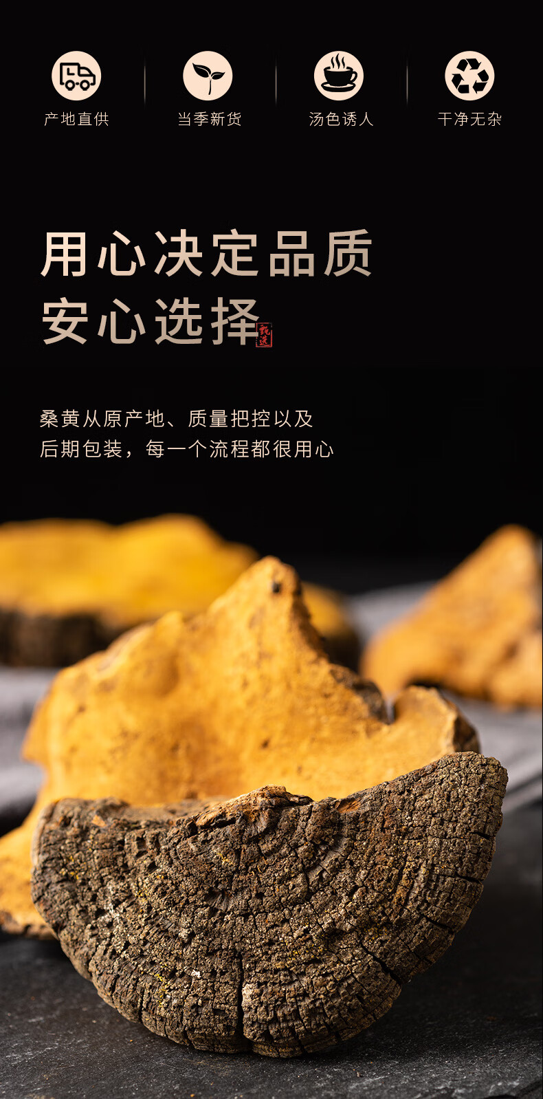 西藏野生桑黄250g桑树桑黄大菌种灵芝整朵干货【图片 价格 品牌 报价