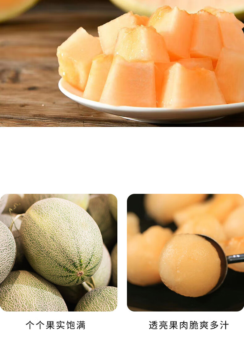 源外园新鲜哈密瓜网纹蜜瓜西州蜜瓜晓密25号口口蜜新鲜水果56斤