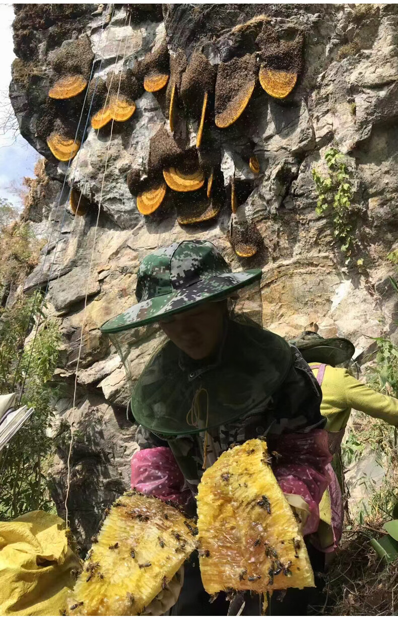 雲南野生崖蜜巖蜜純正食用蜂巢蜜喜馬拉雅蜂土蜂蜜百花蜜過濾好的