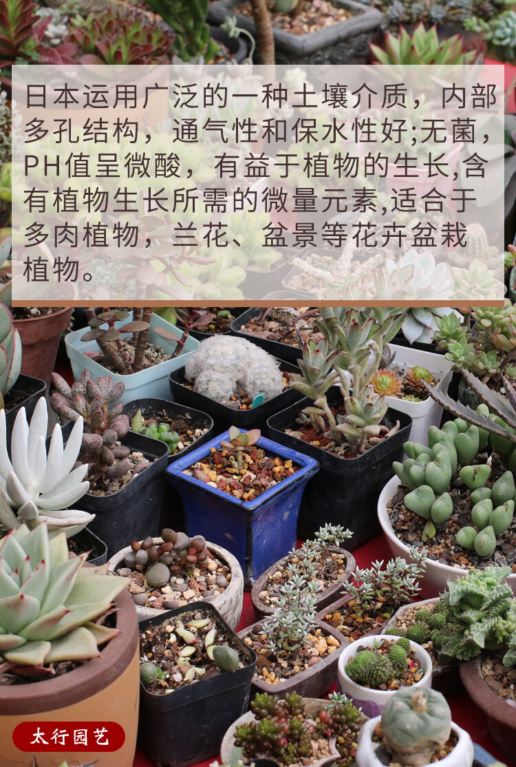 花心思鹿沼土颗粒日本进口鹿沼石多肉铺面杜鹃专用微酸性盆栽种植营养